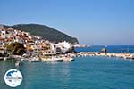 GriechenlandWeb.de Skopelos Stadt | Sporaden | GriechenlandWeb.de foto 96 - Foto GriechenlandWeb.de
