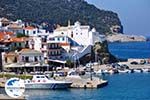 GriechenlandWeb.de Skopelos Stadt Skopelos - Foto GriechenlandWeb.de