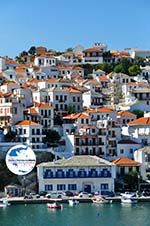 GriechenlandWeb Skopelos Stadt | Sporaden | GriechenlandWeb.de foto 100 - Foto GriechenlandWeb.de