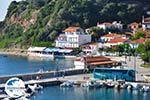 GriechenlandWeb Glossa und haven Loutraki Skopelos | Sporaden | GriechenlandWeb.de foto 23 - Foto GriechenlandWeb.de
