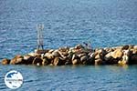 GriechenlandWeb.de Haven Loutraki Skopelos | Sporaden | GriechenlandWeb.de foto 1 - Foto GriechenlandWeb.de