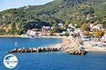GriechenlandWeb.de Haven Loutraki Skopelos | Sporaden | GriechenlandWeb.de foto 4 - Foto GriechenlandWeb.de