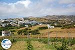 GriechenlandWeb.de Falatados Exomvourgo Tinos | Griechenland | Foto 3 - Foto GriechenlandWeb.de