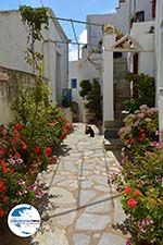GriechenlandWeb.de Exomvourgo Tinos - Foto GriechenlandWeb.de