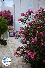 GriechenlandWeb.de Pyrgos Tinos | Griechenland | Fotto 48 - Foto GriechenlandWeb.de
