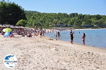 Chrousso beach Paliouri | Kassandra Chalkidiki | GriechenlandWeb.de foto 4 - Foto GriechenlandWeb.de