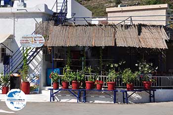 Bloempotten visrestaurant Emborios - Insel Chios - Foto von GriechenlandWeb.de