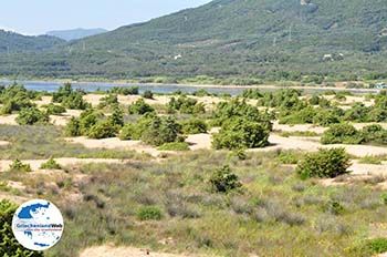 Korissia | Korfu | GriechenlandWeb.de - foto 18 - Foto von GriechenlandWeb.de