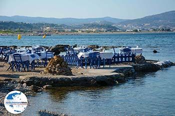 Kolymbia Rhodos - Rhodos Dodekanes - Foto 715 - Foto von GriechenlandWeb.de