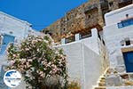 Chora Astypalaia (Astypalea) - Dodekanes -  Foto 96 - Foto GriechenlandWeb.de