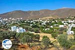 Livadia Astypalaia (Astypalea) - Docecanese -  Foto 6 - Foto GriechenlandWeb.de