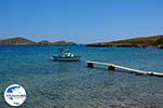 GriechenlandWeb.de Maltezana - Analipsi Astypalaia (Astypalea) - Dodekanes -  Foto 2 - Foto GriechenlandWeb.de