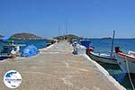 GriechenlandWeb Maltezana - Analipsi Astypalaia (Astypalea) - Dodekanes -  Foto 19 - Foto GriechenlandWeb.de