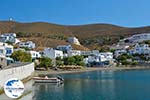 Pera Gialos - Chora Astypalaia (Astypalea) - Dodekanes -  Foto 27 - Foto GriechenlandWeb.de