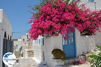 Chora Astypalaia (Astypalea) - Dodekanes -  Foto 99 - Foto von GriechenlandWeb.de