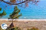 GriechenlandWeb Strand Makris Gialos Lassi - Kefalonia - Foto 502 - Foto GriechenlandWeb.de