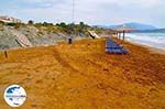 GriechenlandWeb.de Xi Beach, der rote Sandstrand - Kefalonia - Foto 522 - Foto GriechenlandWeb.de