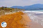 Xi Beach, der rote Sandstrand - Kefalonia - Foto 530 - Foto GriechenlandWeb.de