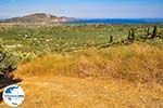 GriechenlandWeb.de Aussicht über Laganas-baai Zakynthos | GriechenlandWeb.de nr 3 - Foto GriechenlandWeb.de