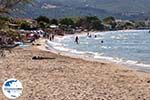 Foto Zakynthos Ionische Inseln GriechenlandWeb - Foto GriechenlandWeb.de