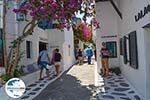 Foto Mykonos Kykladen GriechenlandWeb - Foto GriechenlandWeb.de