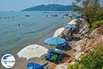 Foto Zakynthos Ionische Inseln GriechenlandWeb - Foto GriechelandWeb.de